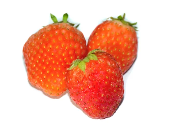 Erdbeeren gesammelt — Stockfoto