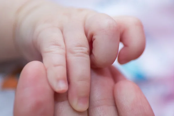 Kleine Babyhände — Stockfoto