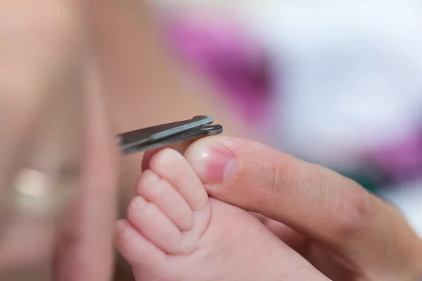 Små baby fötter — Stockfoto