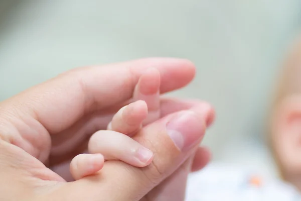 Little baby hands — Stock Photo, Image