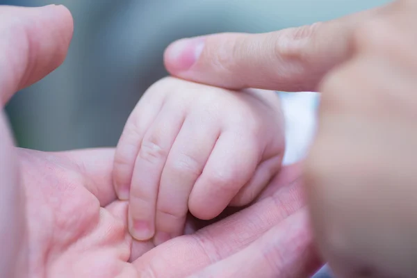 Kleine Babyhände — Stockfoto