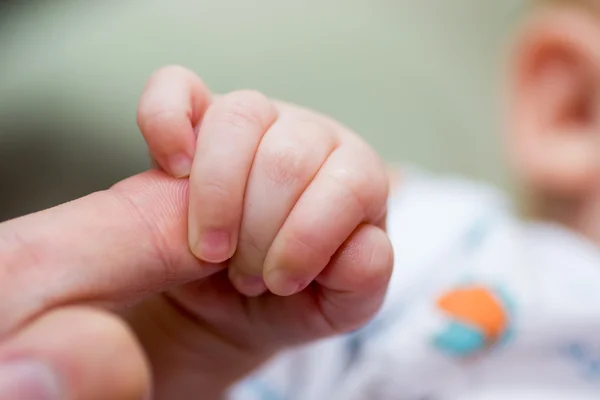 Little baby hands — Stock Photo, Image