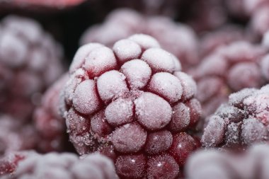 donmuş böğürtlen meyve