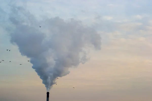 Baca kirliliği sanayii