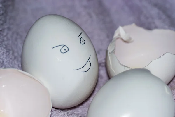 Mänskligt ansikte ägg — Stockfoto