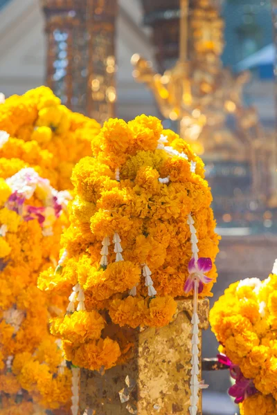 Marigolds garlands on temple fence — Stock Photo, Image