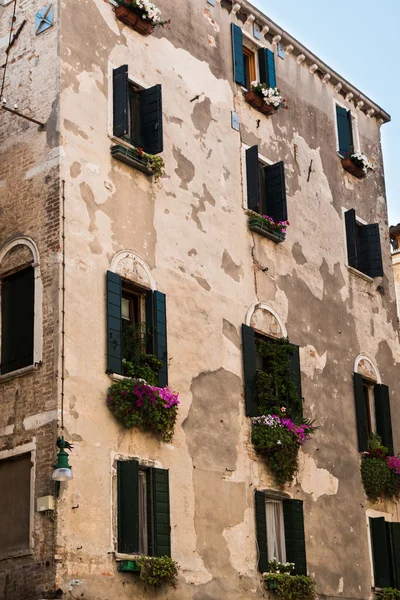 Antigua fachada en Venecia con vegetación verde y flores bajo som —  Fotos de Stock