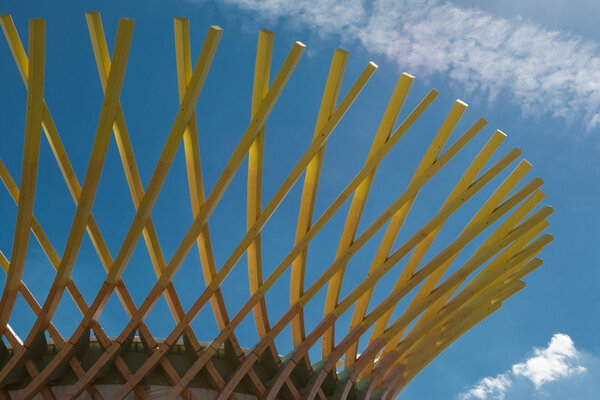 Wooden Curved Structure: Building with Modern Architectural Desi