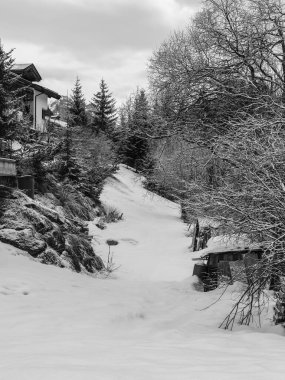 Karla kaplı firavun ağaçları ve Karlı Dağ Panoraması olan dağlar.