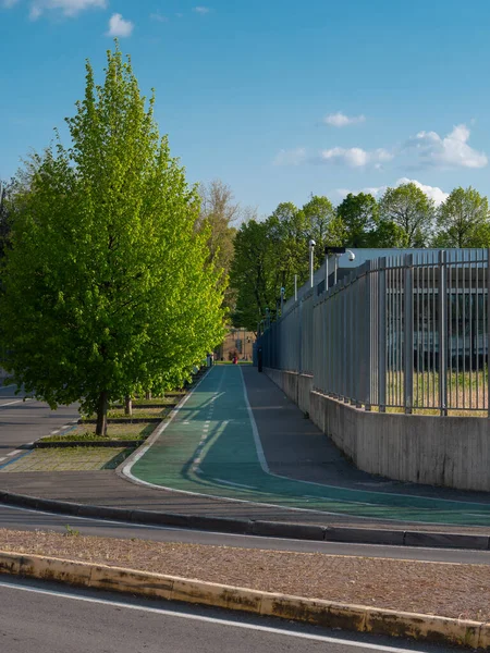 Sendero Para Bicicletas Largo Recto Con Una Fila Árboles Lado —  Fotos de Stock