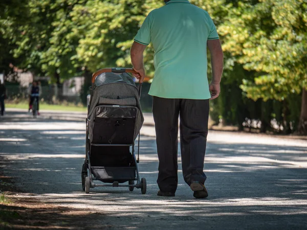 Älterer Großvater Geht Park Spazieren Und Zerrt Kinderwagen Mit Einer — Stockfoto