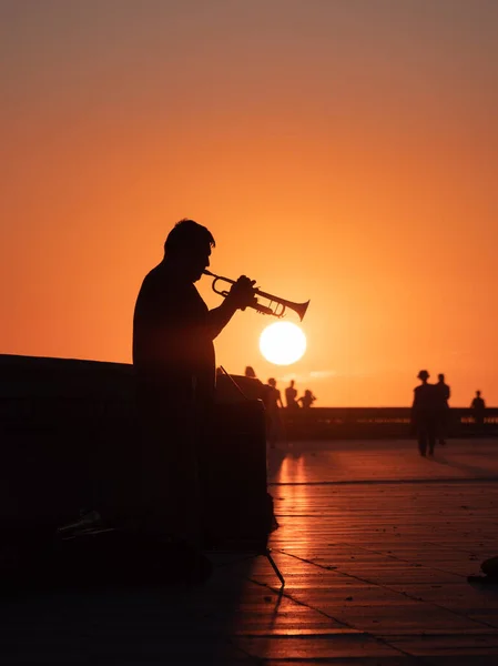 一个孤独的号角声演奏者在日落时分在公共区域演奏他的号角的轮廓 — 图库照片