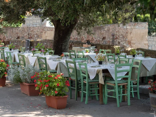 Leere Tische Für Das Mittagessen Unter Einem Olivenbaum Einem Toskanischen — Stockfoto