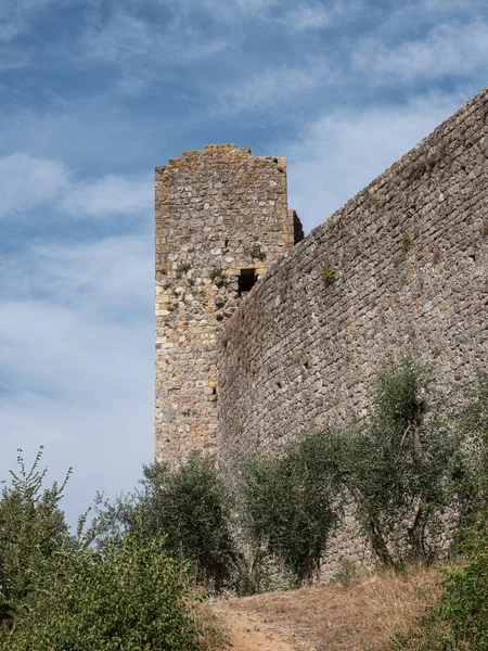 Detail Věže Vegetace Vnějších Zdí Středověké Vesnice Monteriggioni Sieně Toskánsko — Stock fotografie