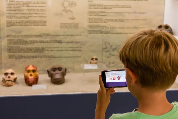 Niño tomando fotografía de primate de cráneo en el museo — Foto de Stock