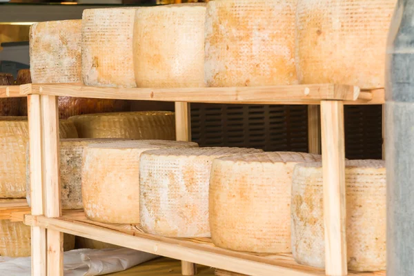 Series of round forms of aged cheese for sale in the local marke — Stock Photo, Image