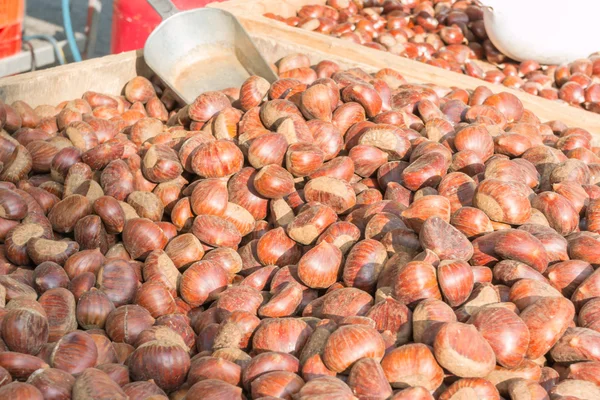 Delicious group of chestnuts fruits — Stock Photo, Image