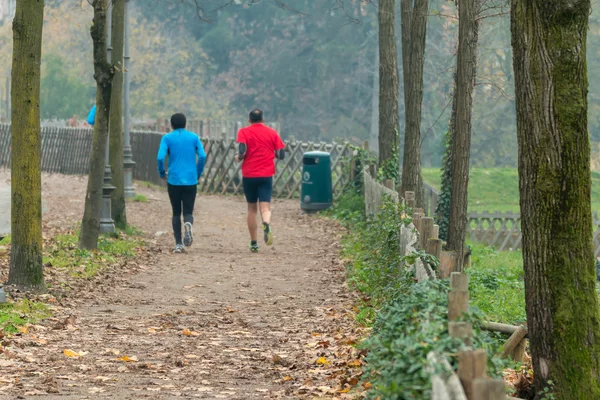 Due uomini che fanno jogging nel parco in autunno — Foto Stock