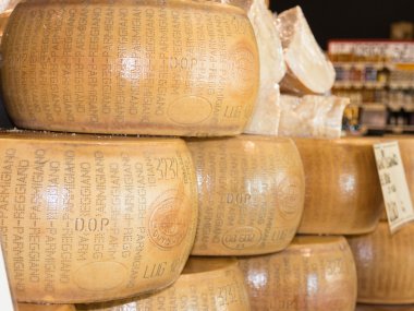 Satılık yuvarlak formları kahvaltilari Reggiano İtalyan peynir