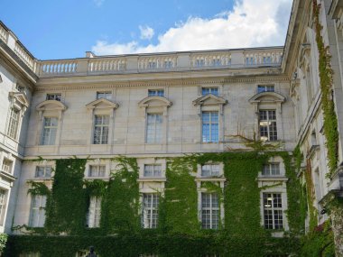 Ivy Almanya, Berlin 'deki Devlet Kütüphanesi Taş Cephesi' nde büyüyor..