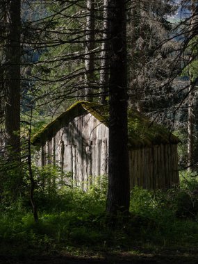 İtalya 'nın Canazei Ormanında Kırsal Ahşap Kulübe.