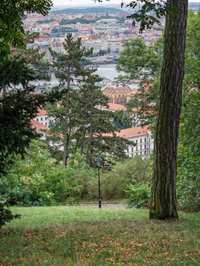 Verimli Yeşil Tepe manzarası Kırmızı Çatı Binaları ve Vltava Nehri, Prag, Çek Cumhuriyeti.