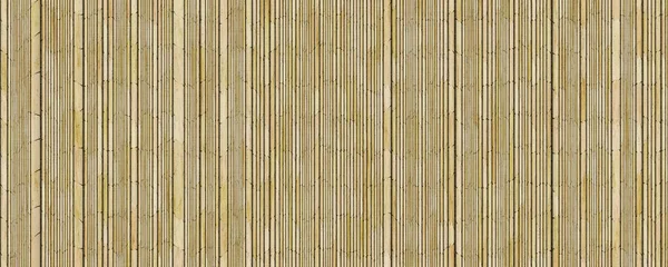 Thatch Reed Textur Bakgrund — Stockfoto