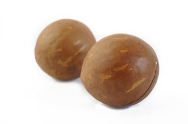 Beyaz arka planda izole edilmiş Macadamia fındıkları