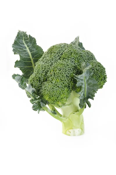 Broccoli grönsaker på vit bakgrund — Stockfoto