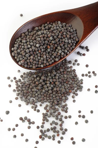 Brown mustard seeds on background — Stock Photo, Image