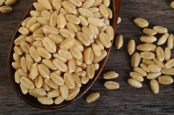 Orzo perlato in cucchiaio di legno — Foto Stock