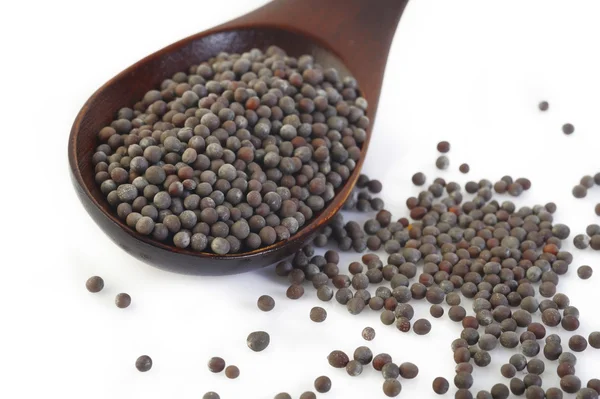 Brown mustard seeds on background — Stock Photo, Image