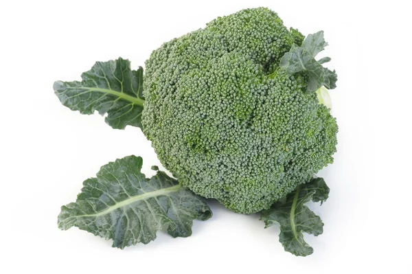 Broccoli grönsaker på vit bakgrund — Stockfoto