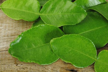 Arka plan Bergamot yapraklarda