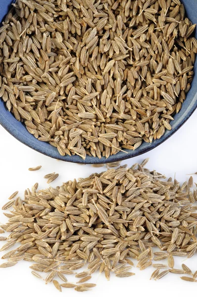 Graines de cumin épices sur fond — Photo