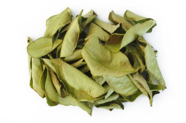 Bergamot yaprakları beyaz zemin üzerine kurutulmuş