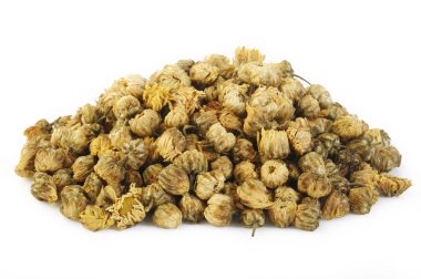 kasımpatı çiçekleri beyaz zemin üzerine kurutulmuş