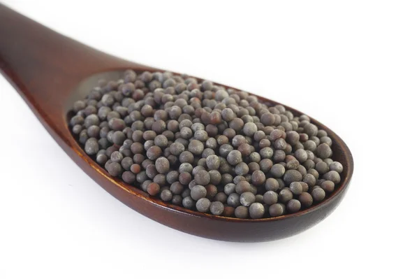 Brown mustard seeds in spoon — Stock Photo, Image