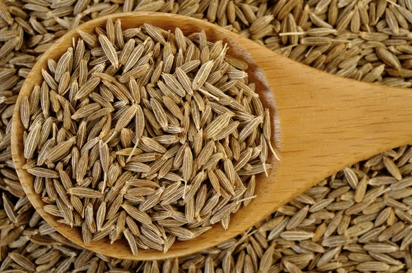 Semillas de comino en cuchara de madera — Foto de Stock