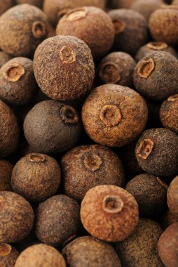 Yenibahar karabiber (Jamaika biber)