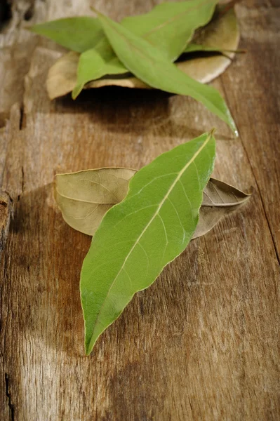 Foglie di alloro essiccate e fresche su fondo di legno — Foto Stock