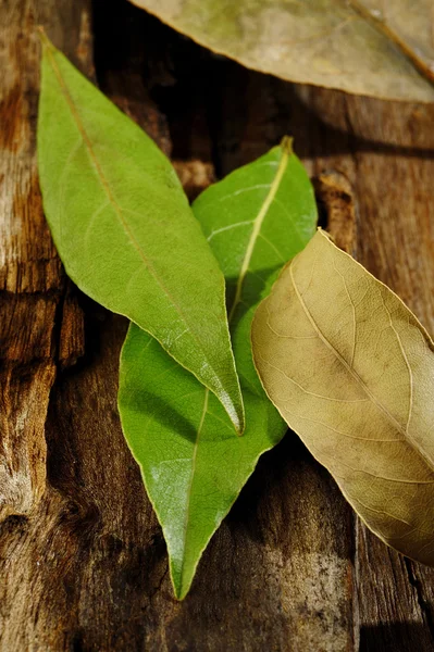 Foglie di alloro secche e fresche su legno — Foto Stock