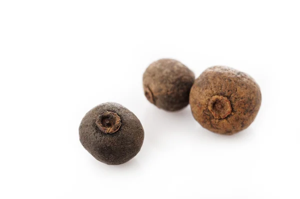 Allspice poivre (Jamaïque poivre) sur fond blanc — Photo