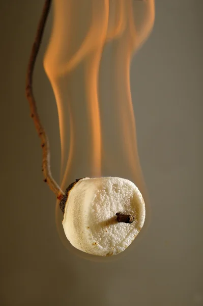 Marshmallow ardente su bastone — Foto Stock