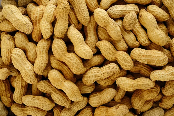 Sfondo arachidi — Foto Stock