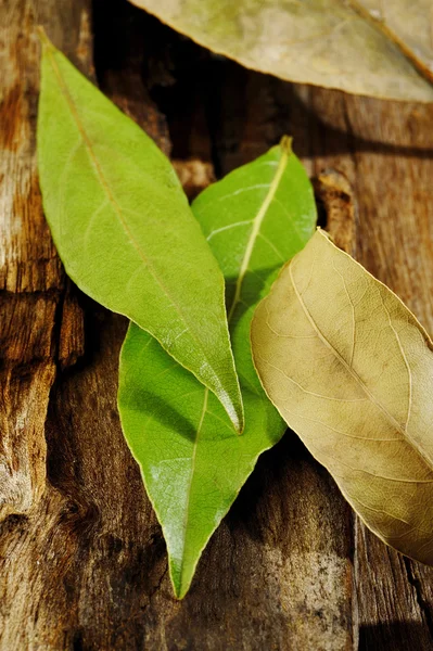 Dried and fresh bay leaves on wooden — Stock Photo, Image