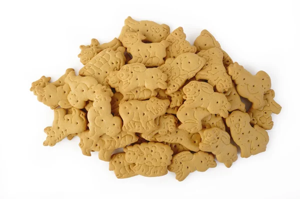 Tierischer Cracker isoliert auf weißem Hintergrund — Stockfoto