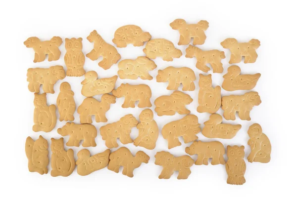 kırık beyaz zemin üzerine izole hayvan şekilli