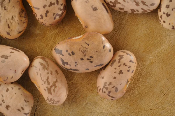 Many pinto bean on background — Stock Photo, Image