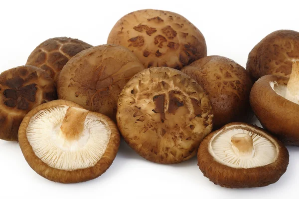 Beyaz arka planda izole edilmiş taze shiitake mantarı.